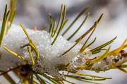 La prima neve autunnale al Calvi-53